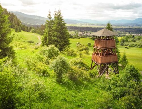 View-tower Pavčina Lehota